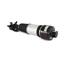 Suspension Strut Assembly AI AS-2787