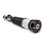Suspension Strut Assembly AI AS-2820