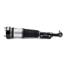 Suspension Strut Assembly AI AS-2852