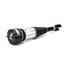 Suspension Strut Assembly AI AS-2888