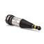 Suspension Strut Assembly AI AS-2889