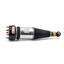 Suspension Strut Assembly AI AS-2889