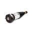 Suspension Strut Assembly AI AS-2891