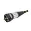 Suspension Strut Assembly AI AS-2894