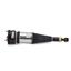 Suspension Strut Assembly AI AS-2894