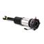 Suspension Strut Assembly AI AS-2959