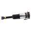 Suspension Strut Assembly AI AS-2959