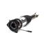 Suspension Strut Assembly AI AS-2968