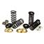 Air Spring to Coil Spring Conversion Kit AI C-2224