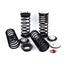 Air Spring to Coil Spring Conversion Kit AI C-2227