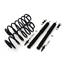 1998 Lincoln Town Car Air Spring to Coil Spring Conversion Kit AI C-2614