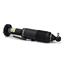 Suspension Strut Assembly AI SK-2418