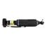 Suspension Strut Assembly AI SK-2418