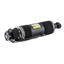 Suspension Strut Assembly AI SK-2419