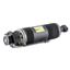 Suspension Strut Assembly AI SK-2420