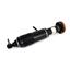 Suspension Strut Assembly AI SK-2483