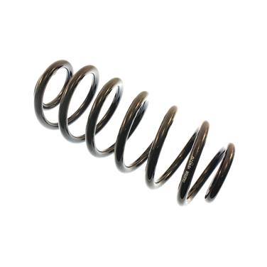 2002 Chevrolet Avalanche 1500 Coil Spring B5 199020