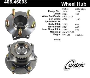 Wheel Bearing and Hub Assembly CE 406.46003E