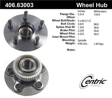 Wheel Bearing and Hub Assembly CE 406.63003E