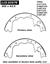 2001 Ford F-150 Drum Brake Shoe CE 111.03570