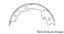 Parking Brake Shoe CE 111.09160