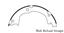 Parking Brake Shoe CE 111.09320