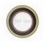 Differential Pinion Seal CR 18706