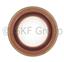 Differential Pinion Seal CR 29528