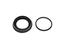 Disc Brake Caliper Repair Kit DB D670091