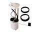 Fuel Pump Module Assembly DE FG0959