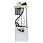 Fuel Pump Module Assembly DE FG1479