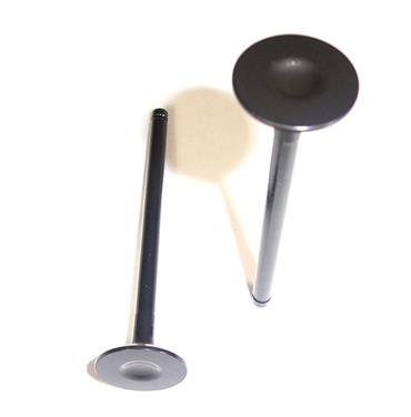 Engine Exhaust Valve DJ EV309