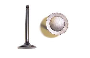 Engine Intake Valve DJ IV421