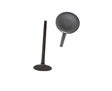 Engine Intake Valve DJ IV427