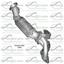 Catalytic Converter DV 17102