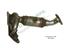 Catalytic Converter DV 19242