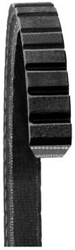 Accessory Drive Belt DY 09320