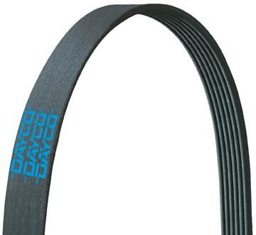 Serpentine Belt DY 5030300