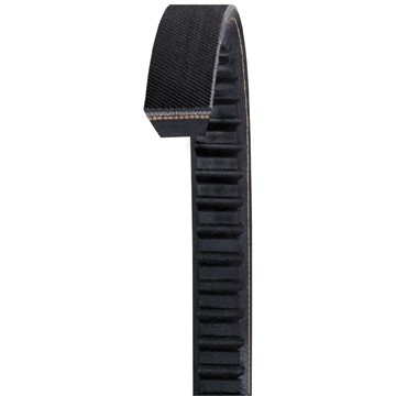 Accessory Drive Belt DY AX59