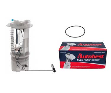 Fuel Pump Module Assembly A0 F3211A