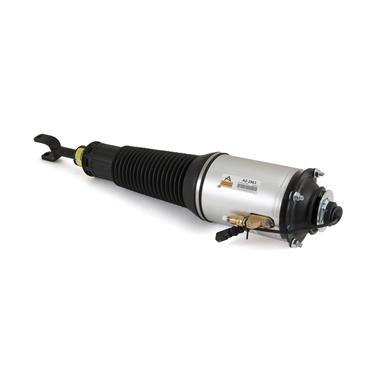 Suspension Strut Assembly AI AS-2563