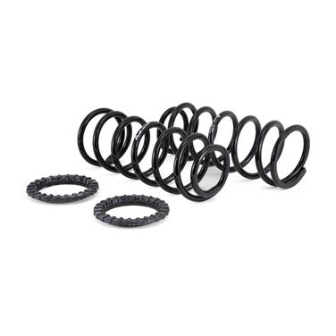 Air Spring to Coil Spring Conversion Kit AI C-2410