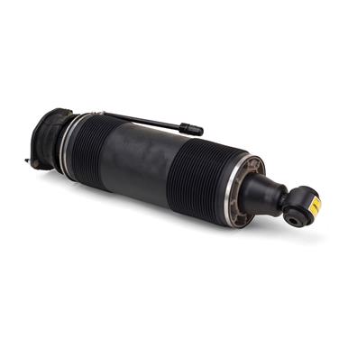 Suspension Strut Assembly AI SK-2485