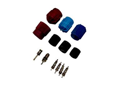 A/C System Valve Core and Cap Kit GP 1311567