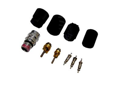 A/C System Valve Core and Cap Kit GP 1311572