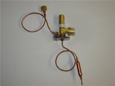 A/C Expansion Valve GP 3411365