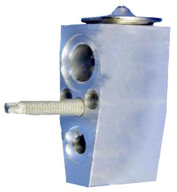 A/C Expansion Valve GP 3411528