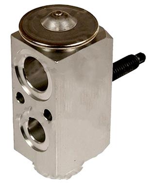 A/C Expansion Valve GP 3411558