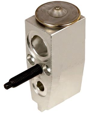 A/C Expansion Valve GP 3411580