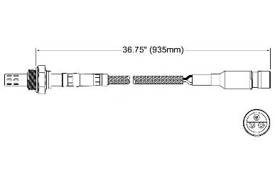 Oxygen Sensor O2 250-23029